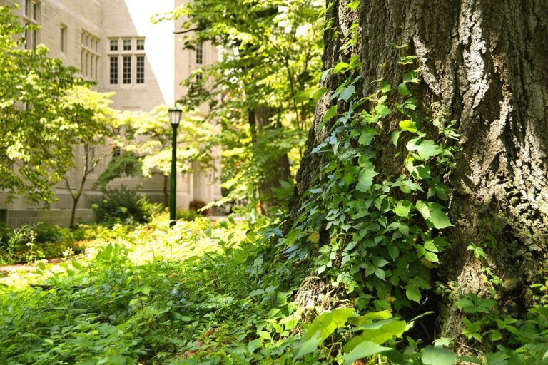 Inovasi dan Prestasi Universitas Wiraswasta Indonesia dalam Dunia Pendidikan